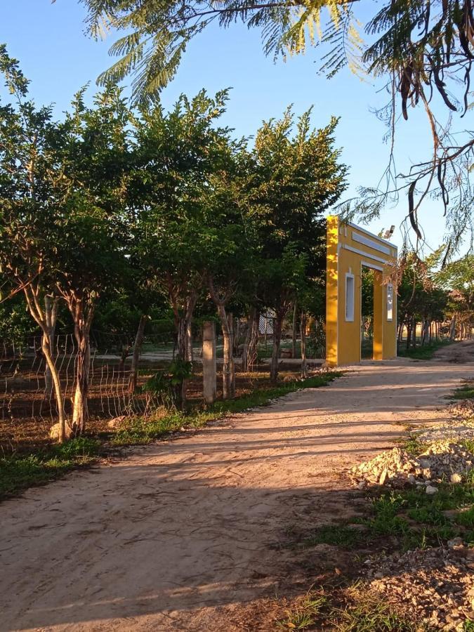 Ecohotel Shalom Valladolid  Ngoại thất bức ảnh