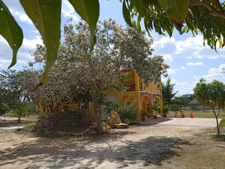 Ecohotel Shalom Valladolid  Ngoại thất bức ảnh